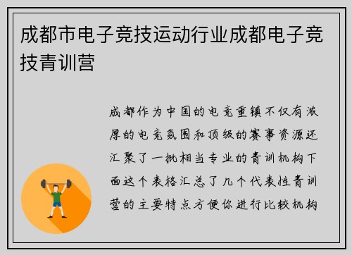 成都市电子竞技运动行业成都电子竞技青训营